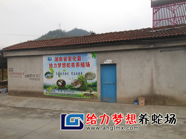 給力夢想養蛇場